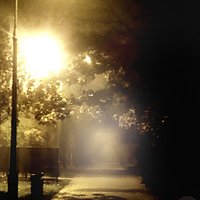 Warsaw #Warszawa #fog #mgla #park #night