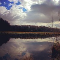 Ciemne chmury zbliżają się, to znak, że w nocy będzie padać deszcz.
#łąka #jezioro #las #Forest #Wild #leśnicy #warto #chodzić #do #lasu #like #chmury.