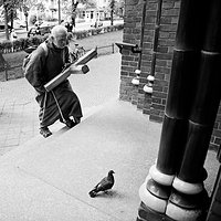 Między ziemią a niebem #blackandwhiteworld #blackandwhitewords #Olsztynkocham #igersolsztyn #birds #ptacymnieprześladują