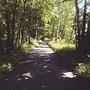 w czasie spaceru z synkiem : #las #wood #trees #walk #spring #wiosna