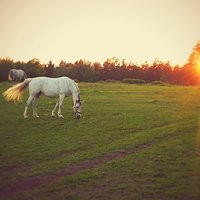 No cudownie... #photographerażycie #lovemyjob #skyporn #sunset #konie #niepobetonie #pracujesię.