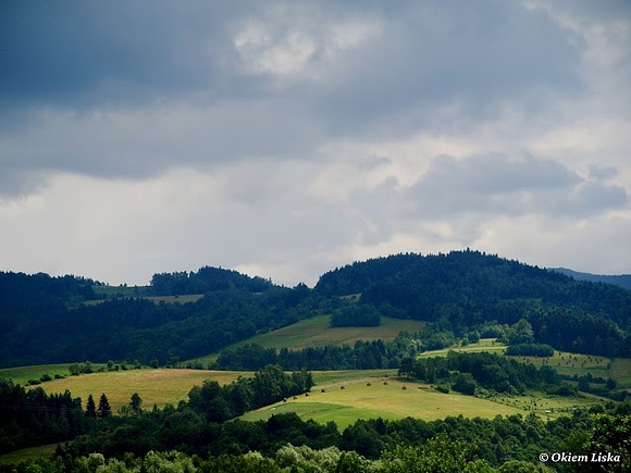 Festyn rodzinny w Starym Sączu - fotorelacja