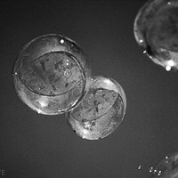 Bubble #sky #dream ##bubbles #bańki #niebo