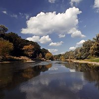 Nad rzeką Wartą