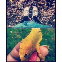 Helloautumn #autumn #walk #sunnyday #nice #all_shots #park #thatsme #leaf #colors