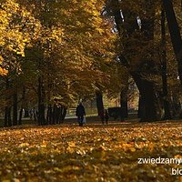 LEGNICA - Park miejski jesienią