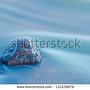 fiji sell with a stone in water from shutterstock