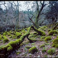 Wicklow Mountains | Analogowo