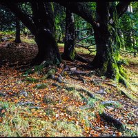 Fuji Velvia 100F x 3 | Analogowo