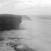 Donegal w akcji | Analogowo