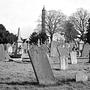 glasnevin cemetery | analogowo