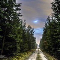 Bór świerkowo - jodłowy w nocnej i jakże mokrej aurze | Chorzelowski Las | Szydłowiec