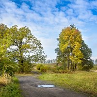 Złote Łąki | Łąki Jamki Rzędzianowskie | Las Góry | Wola Chorzelowska