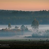 Dolina we mgle | Ostrowy Baranowskie