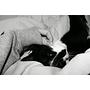 Goodmorning #Saturday #sobota #weekend #freetime #animal #iloveanimal  #cat #kitty #polishcat #kocur #Stefan #Stefanek #milusiński #kochany #lovely #hand #blackandwhite #black #white #whiskers #polishgirl #bed #mylove #kocieoczy #eyes #little