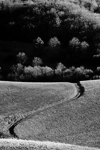 Kręte ścieżki życia / The winding paths of life