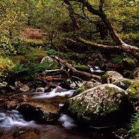 Glendalough | Analogowo