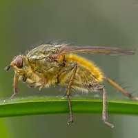 Szczęście w nieszczęściu | Cuchna nawozowa