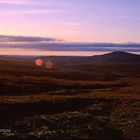 Wicklow | Analogowo