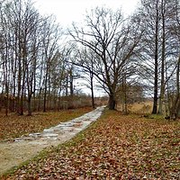 Park Wschodni jesienią. #parkwschodni #eastpark #jesień #fall #autumn #wroclaw #wrocław #wroclove #kochamwroclaw #ilovewroclaw #igerswroclaw #polska #poland.