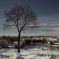 Warmia #kochamy_warmie #poland #natura #winter #nikon7100 #nikonphotography #samsung #poland #natural #naturalbeauty #nikon #drogi @kochamy.warmie #Polska #photooftheday #photo #nikon_photography_ #winterstale #love_natura.