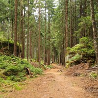 Skalne Grzyby w Górach Stołowych