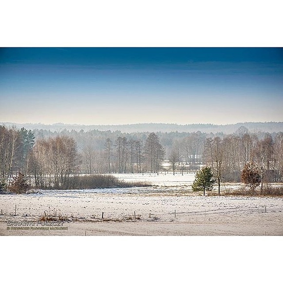 Jagodnik ❄