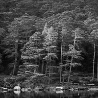 Glendalough | Analogowo