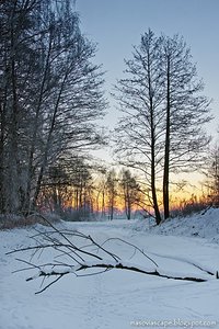 Frozen River