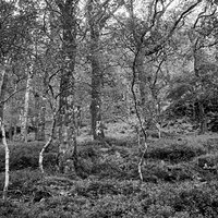 Glendalough | Analogowo