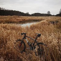 Pierwszy #trening w #nowogrodzie ;) #mtb #mtbxcpl #cardio #gym #motivation #fitness #workout #cyclist #mountainbike #tdf #motivation #tourdefrance #fixedgear #crazy #life #cyclist #fitness #bicicleta