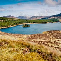 Connemara | Analogowo