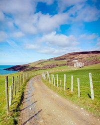 Clifden Castle | Analogowo