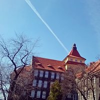 Spring #sun #bluesky  #Katowice #Kato #silesia