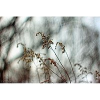 Natura #nature #reflection #abstrakcja #abstraction #nostalgia #nostalgic #neverstopexploring #spring #wiosna #wiosnawwarszawie #wiosennie #abstract #grass #flower #kwiatek #kwiaty #flowers #bokeh #bokehful