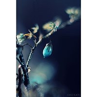 Natura #nature #reflection #abstrakcja #abstraction #nostalgia #nostalgic #drop #drops #krople #blue #blues #flower #kwiatek #bokeh #spring #wiosna #wiosnawwarszawie #wiosennie #wschodslonca #sunrise #podsłonce #underthesun #grass #kwiaty #flowers #bokehf