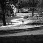 Warmia #kochamy_warmie #poland #Polska #natura #wies #drogi @kochamy.warmie #warmia #drzewa #nikonphotography #samsung #nikon #people #sroczek #nikon #blackandwhite #monochrome #black #nikonphotography #nikon_photography #czarnobiałe #lubiepolske.