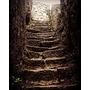 stairs #staircase #stairway #steps #oldstairs #stonestairs #castle #oldcastle #old #stone #stones #oldtimes #creepy #stairstonowhere #onedaytrip