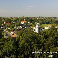 PROCHOWICE - Panorama