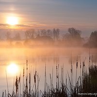 Fog on the water