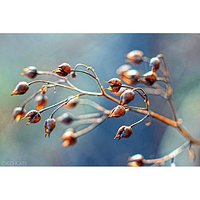 Natura #nature #reflection #abstrakcja #abstraction #nostalgia #nostalgic #neverstopexploring #spring #wiosna #wiosnawwarszawie #wiosennie #wschodslonca #sunrise #podsłonce #underthesun #grass #flower #kwiatek #kwiaty #flowers #bokeh #bokehful