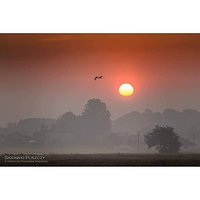 Lecieć w stronę Słońca
#słońce #wschód #wschódsłońca #bocian #ptak #stork #sunrise #photography #nikon #mgła #fog #mist #dzikowiec #skrawkipuszczy #puszczasandomierska #sun #sole #romantic