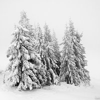 Sposób na upały / Tip for surviving a heat wave