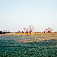 Irlandia | Analogowo