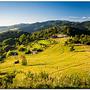 Pieniny: z Szafranówki