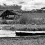 rozlewiska narwi   wetland narew valley