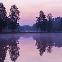 Zdjęcia z różnych bajek II