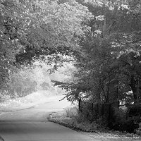 Ku jesieni / Way into Autumn