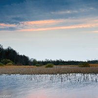 Cloudy morning by the pond