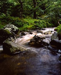 Glendalough | Analogowo